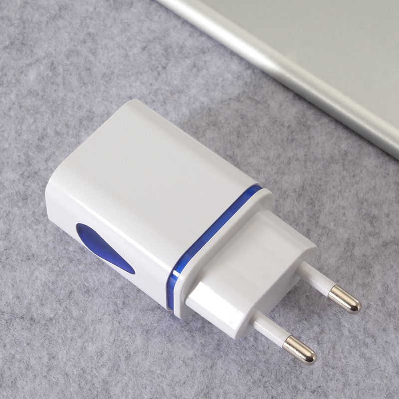Portable Dual Port USB Travel Charger